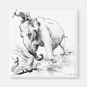 Coolidge-Radical Magnet (Vorne)