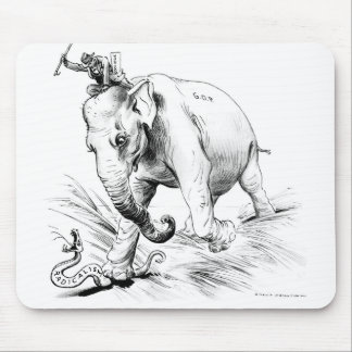 Coolidge-Radical Mousepad