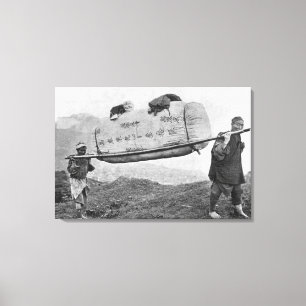 Coolies, die Baumwolle, 1901 (b/w, tragen Foto) Leinwanddruck