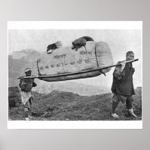 Coolies, die Baumwolle, 1901 (b/w, tragen Foto) Poster