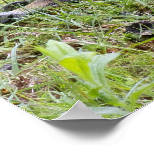 Cooling Off Poster (Ecke)