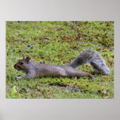 Cooling Off Poster (Vorne)