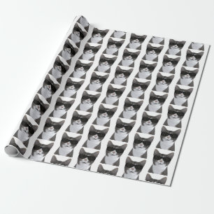 Coolste Katze der Stadt Geschenkpapier