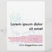 Coolster Bulldog Boy Flyer (Hinten)