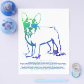 Coolster Bulldog Boy Flyer (Einzeln)