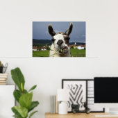 Coolstes Lama-Portrait Poster (Heimbüro)