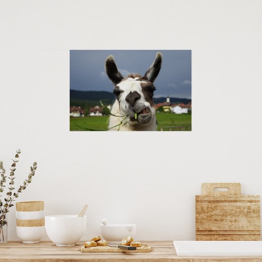 Coolstes Lama-Portrait Poster (Küche)