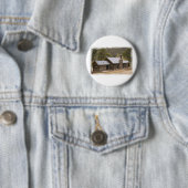 Coon Creek Cabin Button (Beispiel)