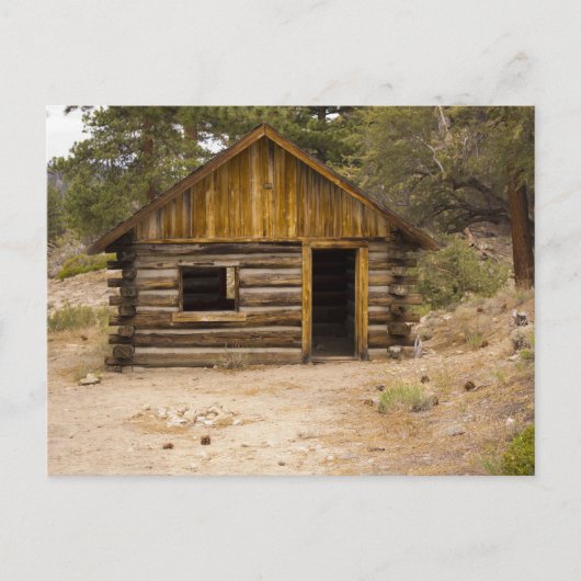 Coon Creek Cabin Postkarte (Vorderseite)