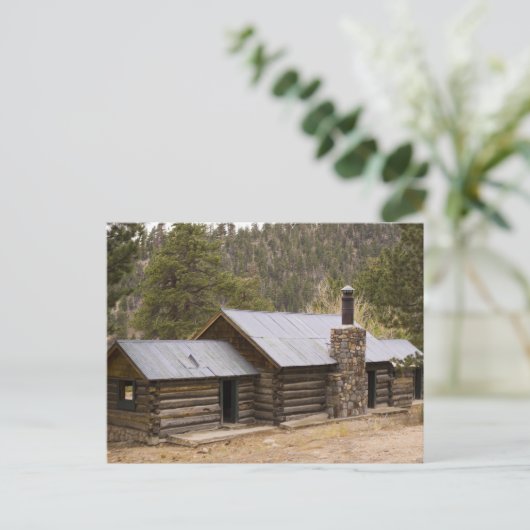 Coon Creek Cabin Postkarte (Stehend Vorderseite)