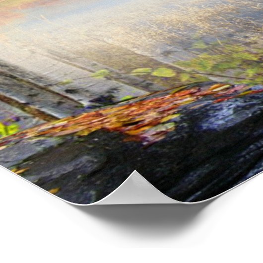 Coon Dog Trees Raccoon Poster (Ecke)