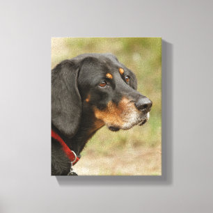 Coon hound - Gracie Lou Leinwanddruck