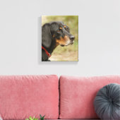 Coon hound - Gracie Lou Leinwanddruck (Insitu (Wohnzimmer))