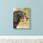 Coon hound - Gracie Lou Leinwanddruck (Insitu (Holzboden))