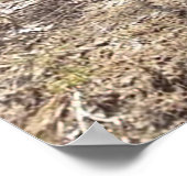 Coon Hounds Treeing Poster (Ecke)