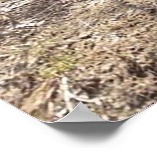 Coon Hounds Treeing Poster (Ecke)