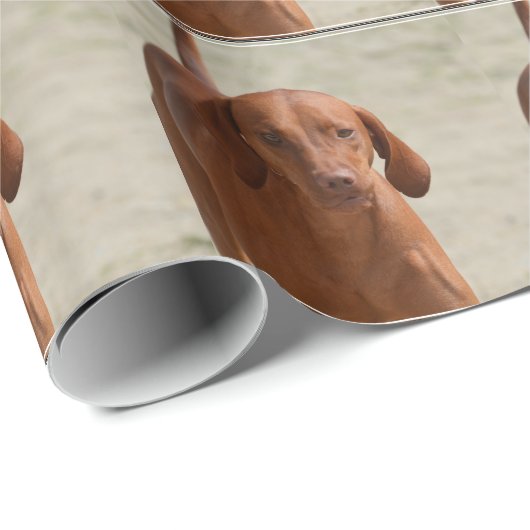 Coonhound Geschenkpapier (Rolleneckpunkt)