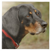 Coonhound - Gracie Lou Fliese (Vorderseite)