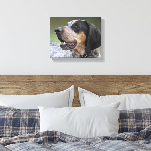 Coonhound Leinwanddruck (Insitu (Schlafzimmer))