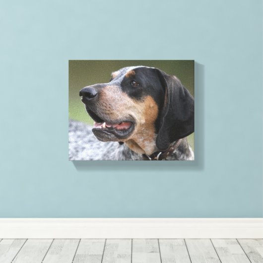 Coonhound Leinwanddruck (Insitu (Holzboden))