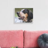 Coonhound Leinwanddruck (Insitu (Wohnzimmer))