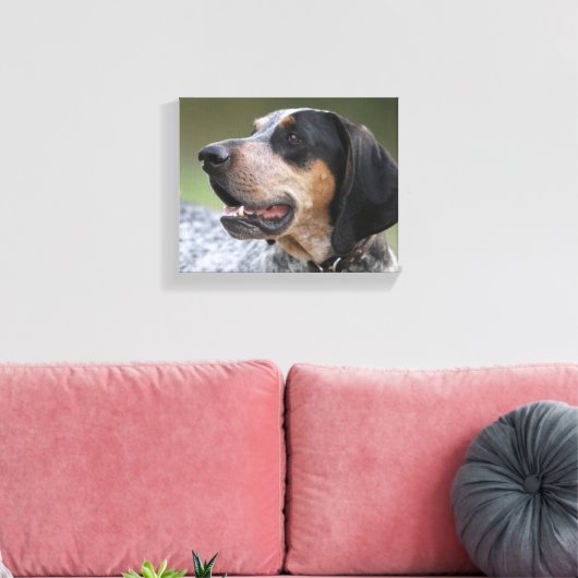 Coonhound Leinwanddruck (Insitu (Wohnzimmer))