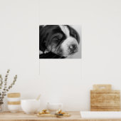 Coonhound Puppy Poster (Küche)