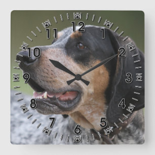 Coonhound Quadratische Wanduhr