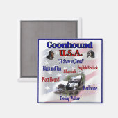 Coonhound USA Geschenke Magnet (Vorderseite/Rückseite)