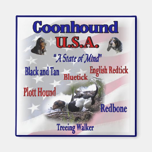 Coonhound USA Geschenke Magnet (Vorne)