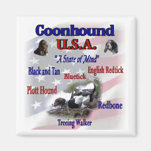 Coonhound Varety Geschenke Magnet