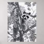 Coonie Poster (Vorne)