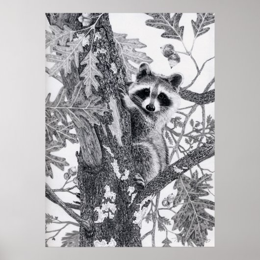 Coonie Poster (Vorne)