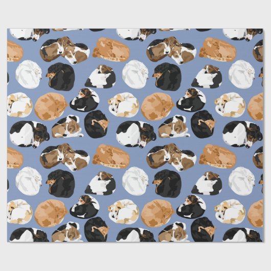 Cooniecurl Geschenkpapier (Flach)