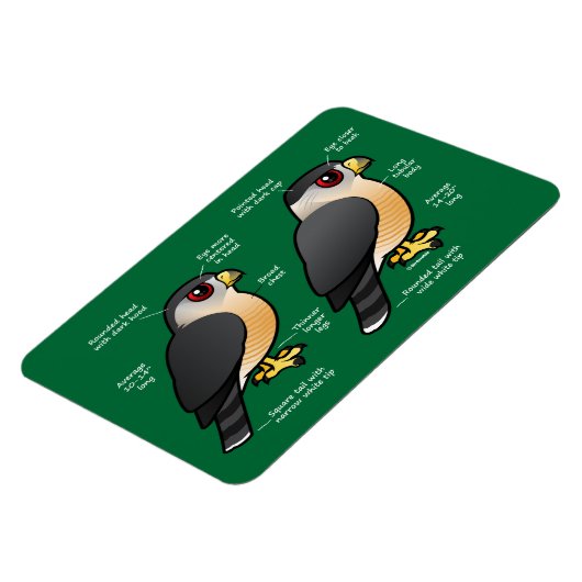 Coop / Sharpie Magnet (Linke Seite)