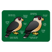 Coop / Sharpie Magnet (Horizontal)