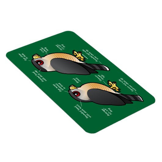 Coop / Sharpie Magnet (Rechte Seite)