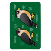 Coop / Sharpie Magnet (Vertikal)