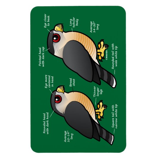 Coop / Sharpie Magnet (Vertikal)