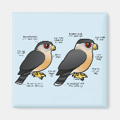 Coop / Sharpie Magnet (Vorne)