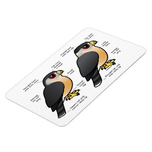 Coop / Sharpie Magnet