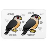 Coop / Sharpie Magnet (Horizontal)