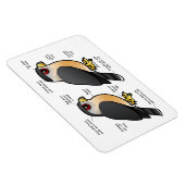 Coop / Sharpie Magnet (Rechte Seite)