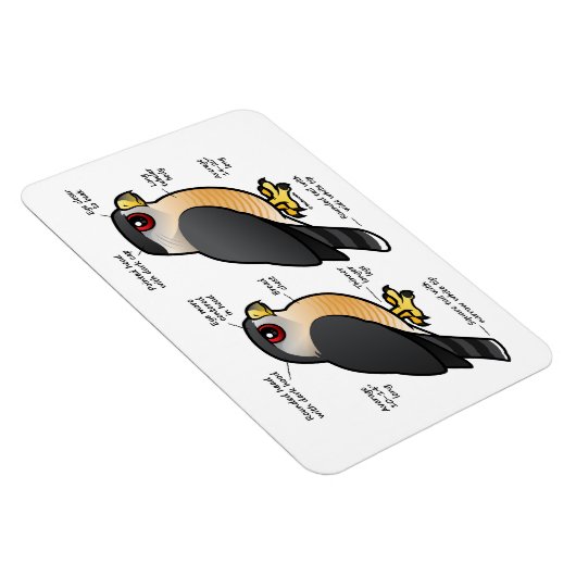 Coop / Sharpie Magnet (Rechte Seite)