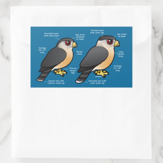 Coop / Sharpie Rechteckiger Aufkleber (Tasche)