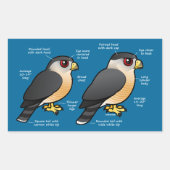 Coop / Sharpie Rechteckiger Aufkleber (Vorderseite)