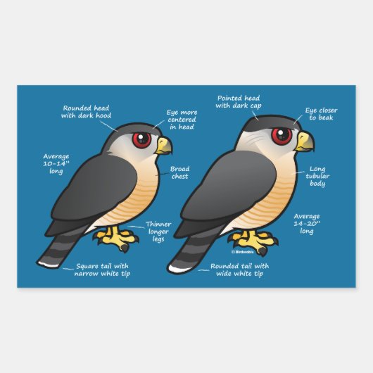 Coop / Sharpie Rechteckiger Aufkleber (Vorderseite)