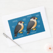 Coop / Sharpie Rechteckiger Aufkleber (Umschlag)