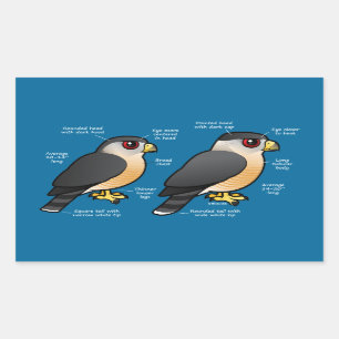 Coop / Sharpie Rechteckiger Aufkleber