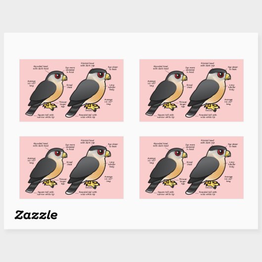 Coop / Sharpie Rechteckiger Aufkleber (Blatt)